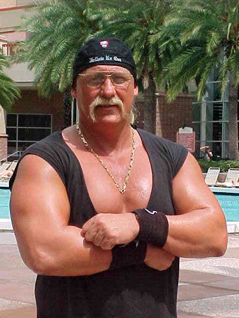 hulkpool1.jpg (32452 bytes)