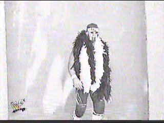 w1.jpg (17069 bytes)